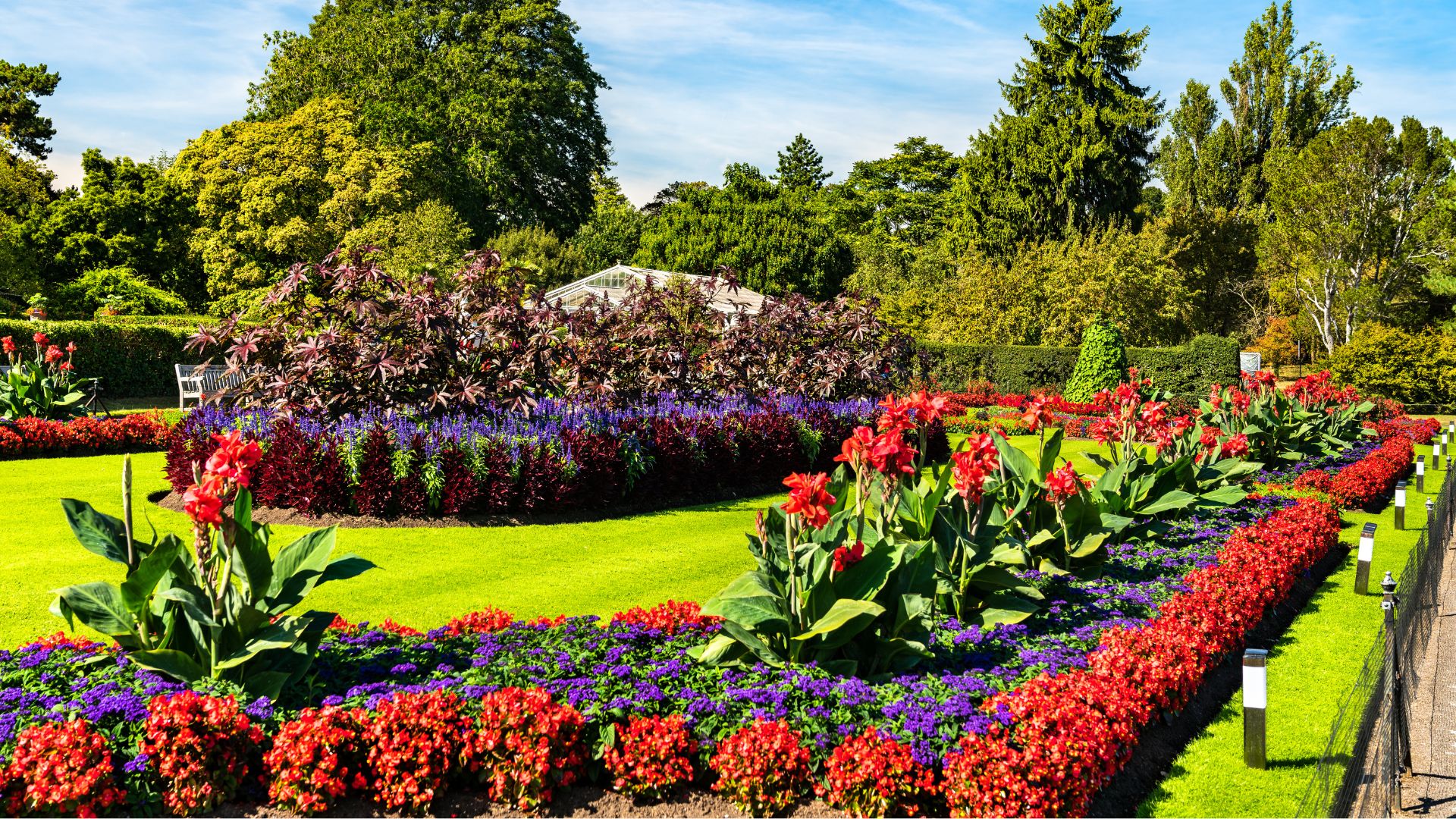 Kan Grow improves soil health in both home gardens and public green spaces. It helps vegetables, flowers, and plants grow stronger by holding moisture, preserving nutrients, and reducing the need for frequent watering or chemical inputs.