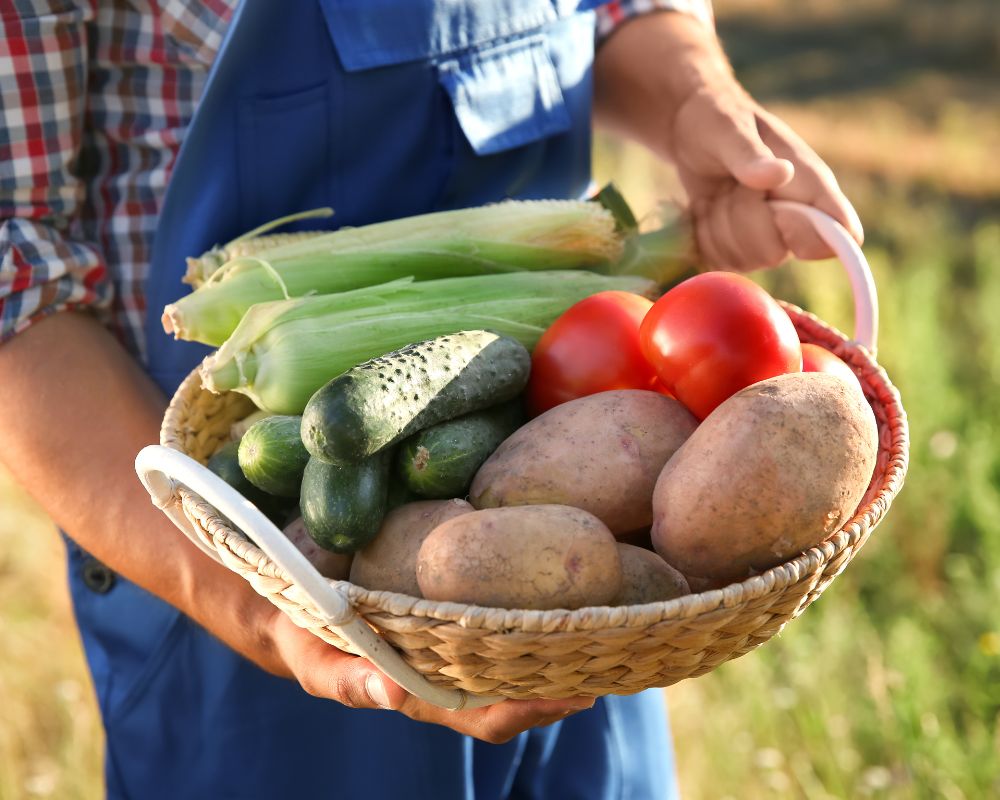 Make quality food affordable and available