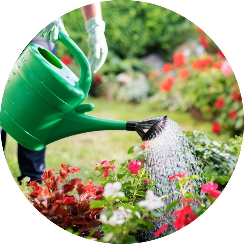Kan Grow significantly reduce the watering frequency