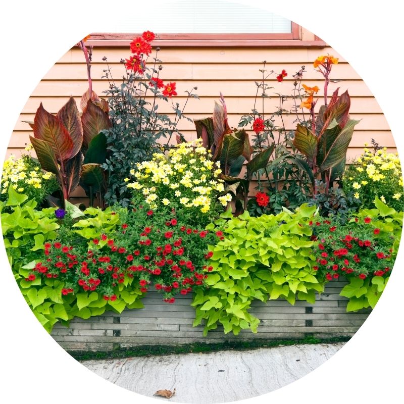 Kan Graw can be applied to planters, containers, beds