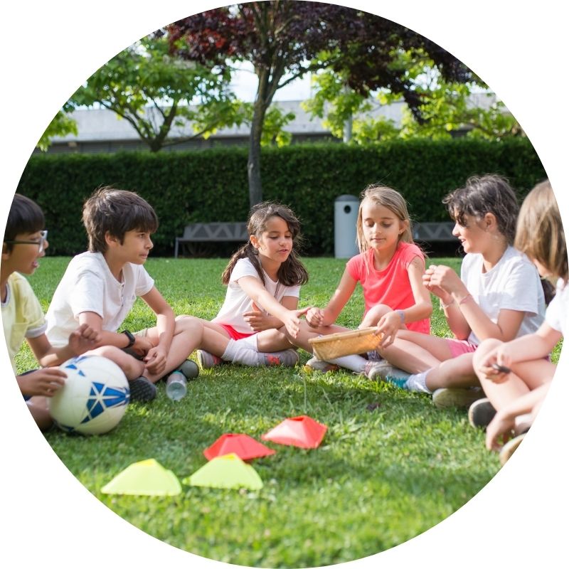 Kan Grow for lawn is safe for children and pet