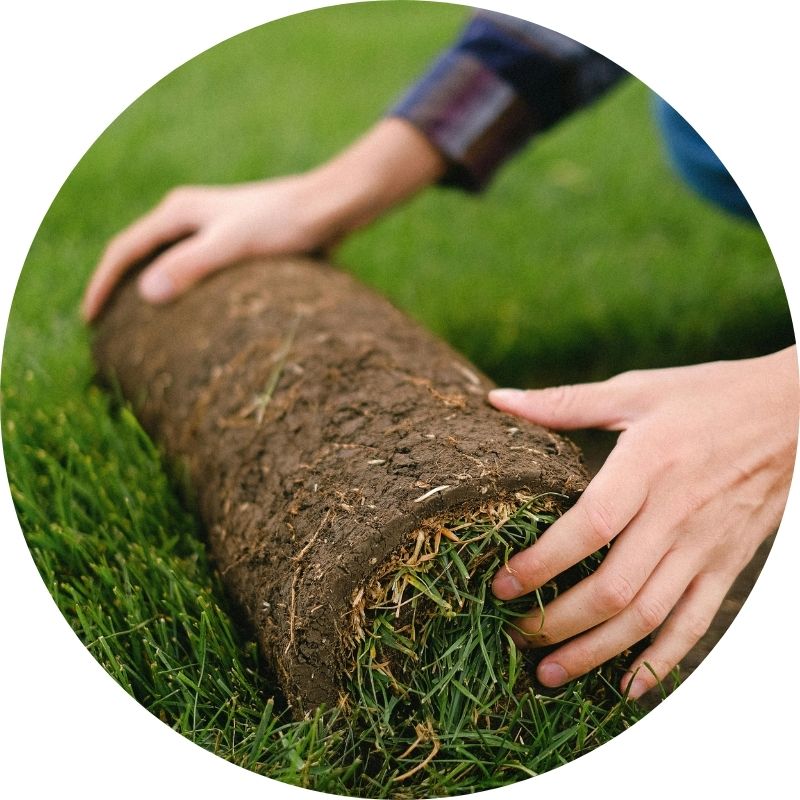 Kan Grow for lawn minimize the need for regular maintenance for the lawn