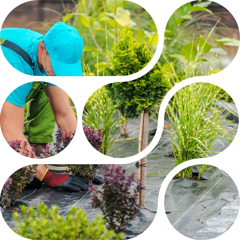 kan grow can help landscape maintenance contractor to save cost