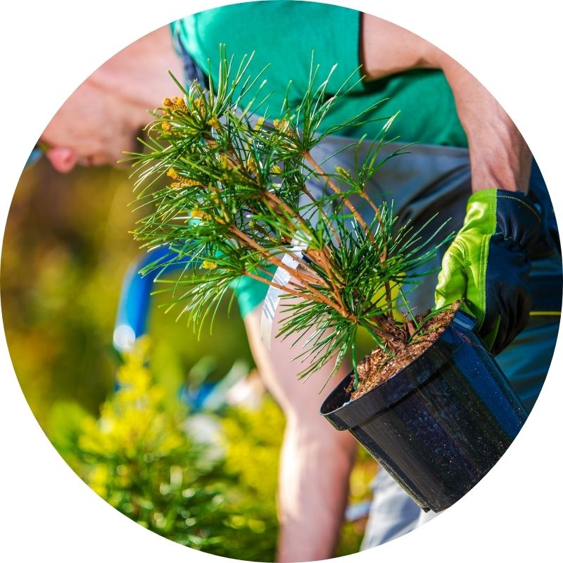 kan grow applied to commercial landscaping helps to reduce the frequency of maintenance