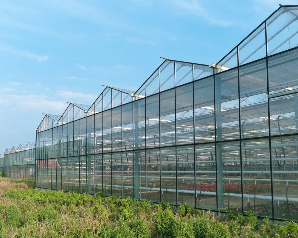 From farms to greenhouses, Protektor prevents fertilizer, pesticide, and fuel runoff from contaminating crops, water systems, or soil, making it ideal for eco-conscious agriculture and irrigation setups.