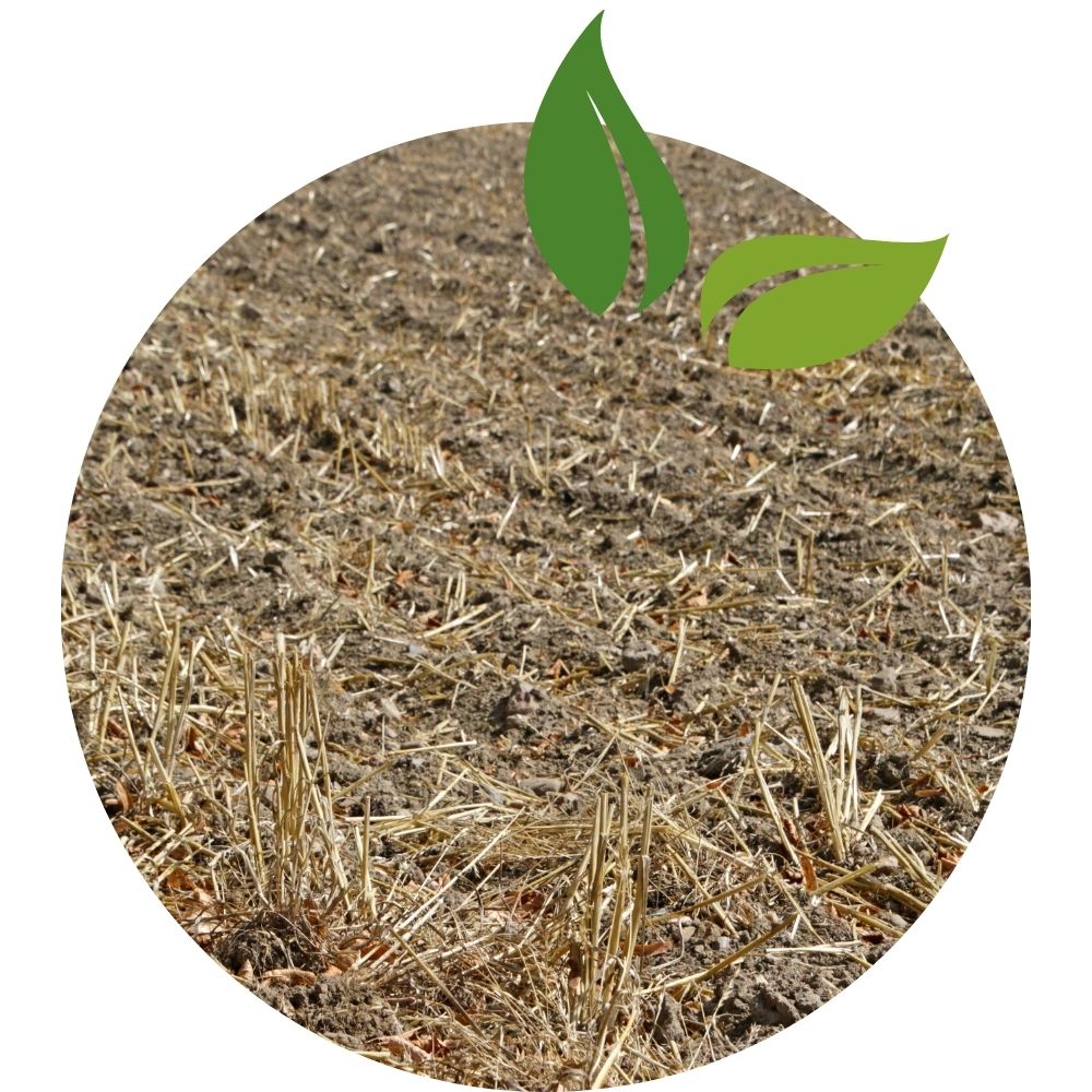 Kan Grow helps to improve yields for Regenerative & Resource-Limited Farming