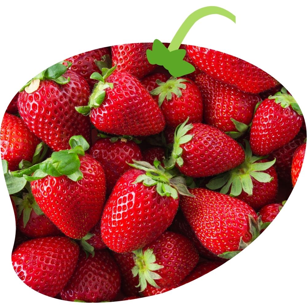 Kan Grow is ideal to high value fruit growing