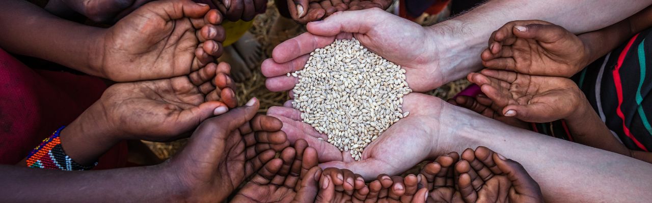 Resolve the food security, making food available to everybody