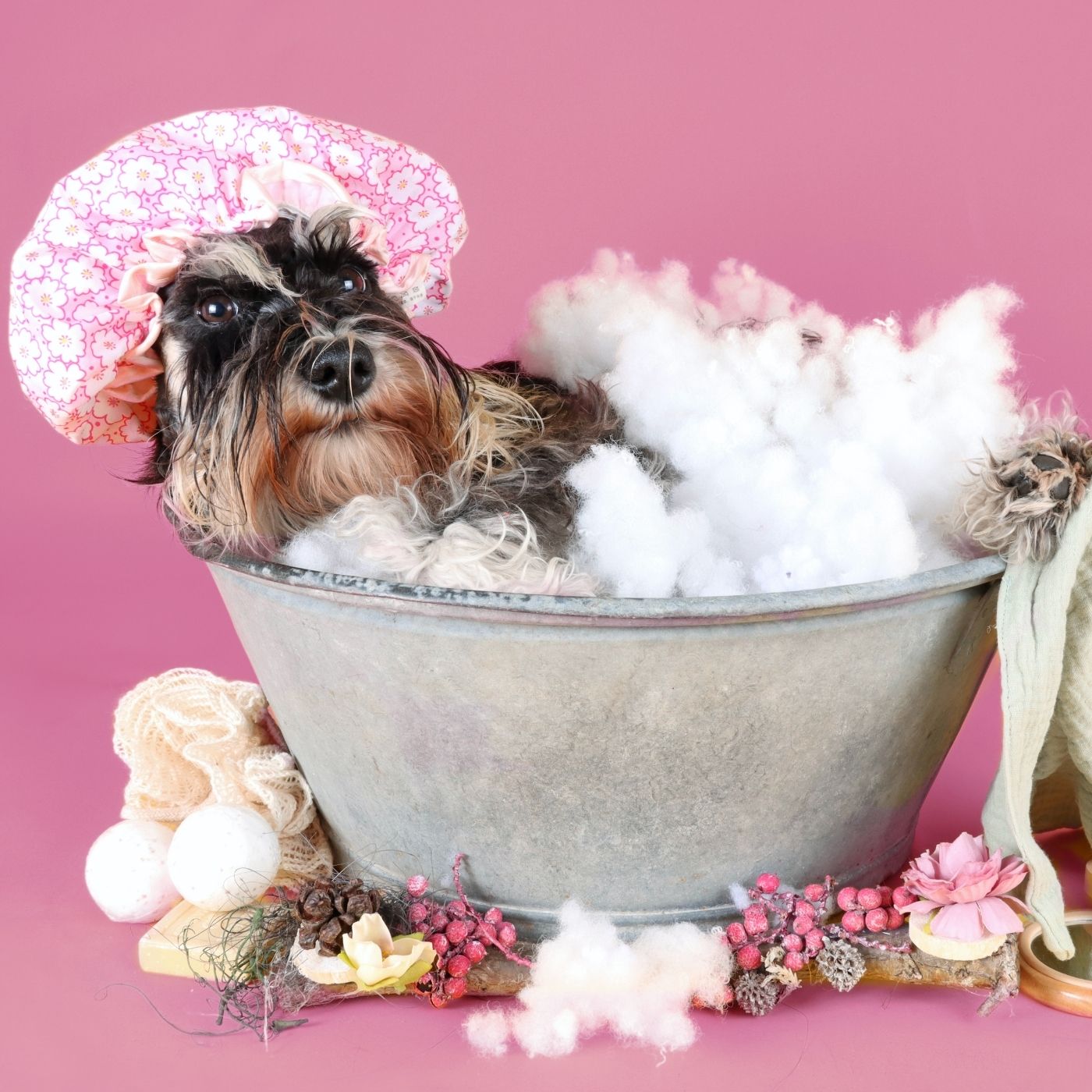 We’re a nation of animal lovers, our pets are family too. At UKan Studio, we capture their unique personalities in stunning pet portraits, whether it’s a solo session or with the whole family.