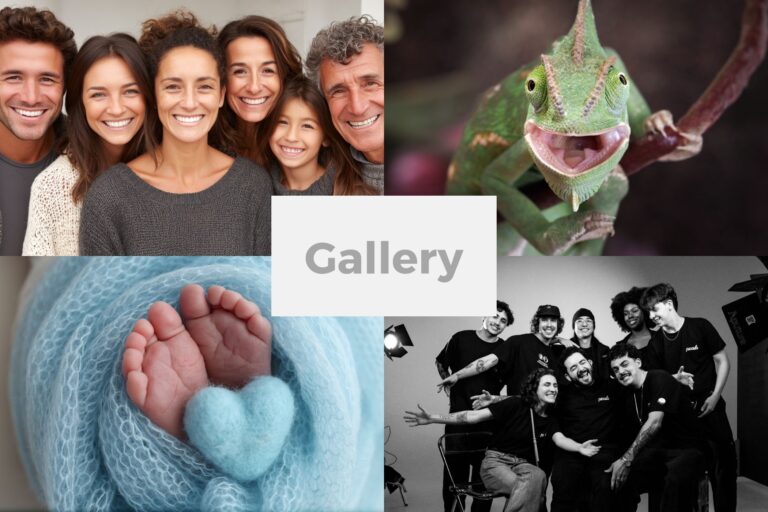 Gallery Package Product Image