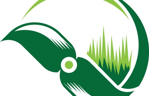 vecteezy_logo-vector-grass_8531369.jpg